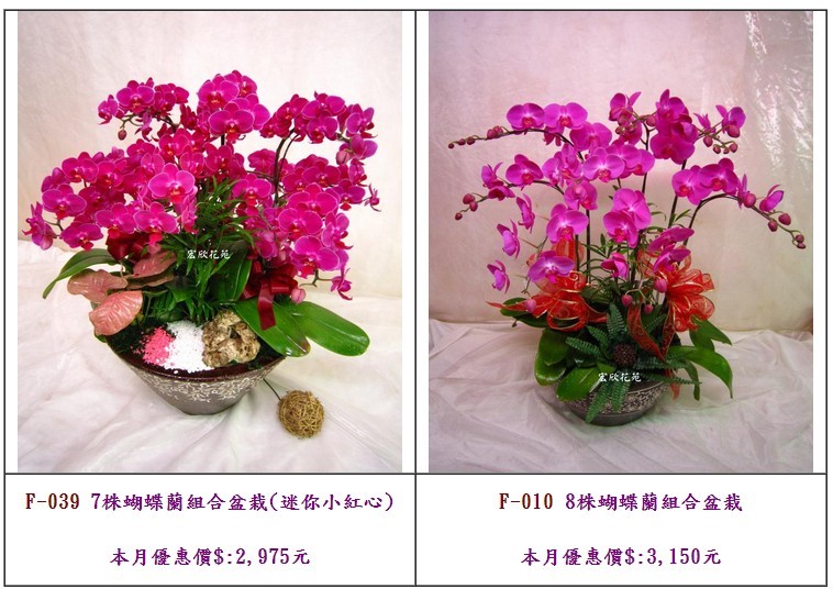 Tomeet Service 宏欣花苑